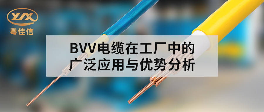 BVV電纜在工廠中的廣泛應用與優(yōu)勢分析