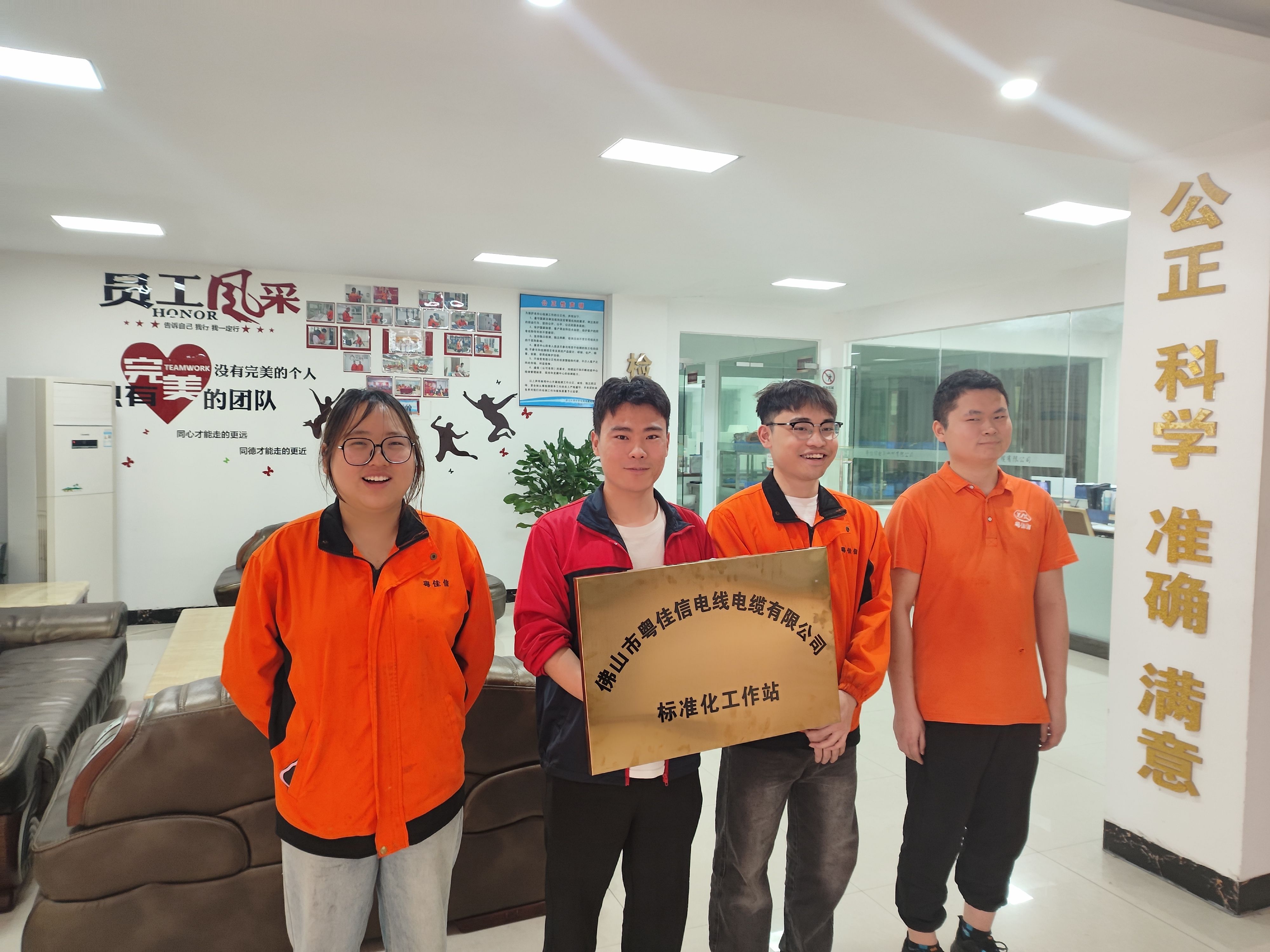 佛山市粵佳信電線電纜有限公司標(biāo)準(zhǔn)化試點工作順利推進(jìn)